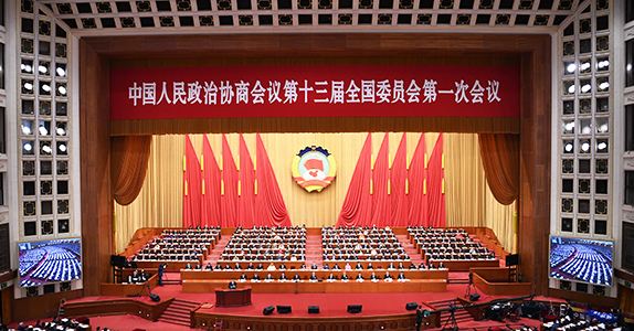 全國(guó)政協(xié)委員詹純新：企業(yè)走出去要“做主、做深、做透”