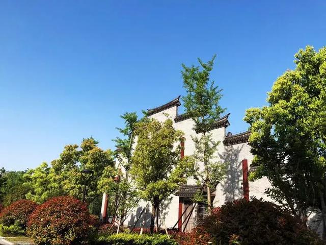 二審期間取得建設(shè)工程規(guī)劃許可證，仍可判施工合同有效！